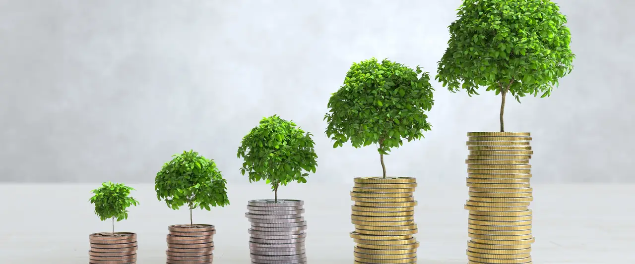 Plants growing from stacks of coins, representing long-term savings